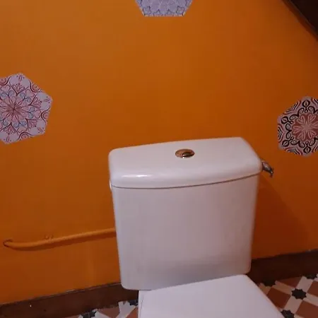 Le Suisse - Aux Fleurs Le Vicel