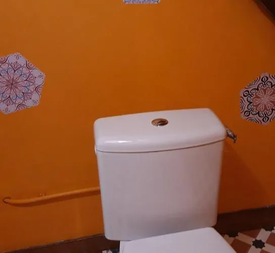 Le Suisse - Aux Fleurs Le Vicel