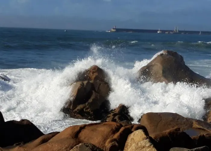 Le Suisse - Aux Fleurs Bed & Breakfast